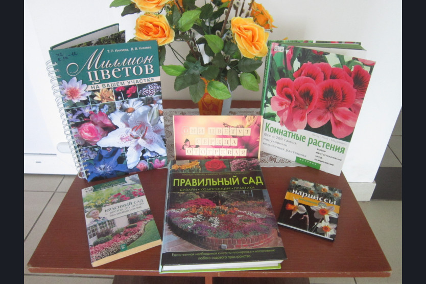Книжная выставка